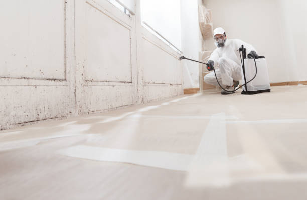 24/7 Emergency Mold Remediation experts in Cedar Grove, NC