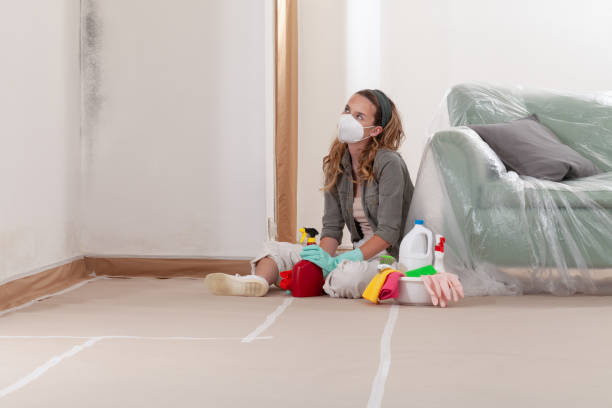 Reliable Mold Remediation contractor in Cedar Grove, NC by WQB Mold Removal